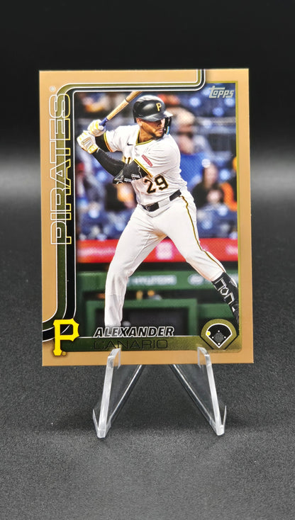 2022-25 Pittsburgh Pirates Bundle (serialized, auto and mem included)